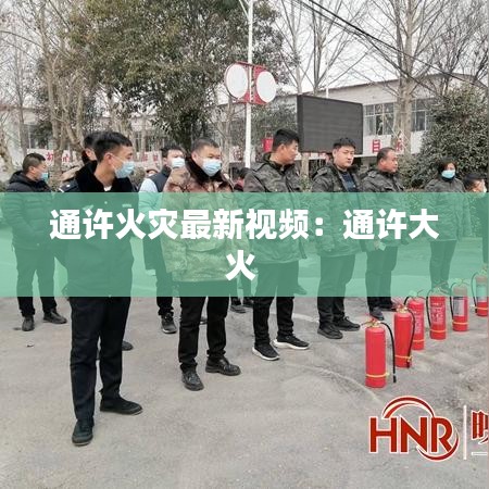 望其项背 第4页