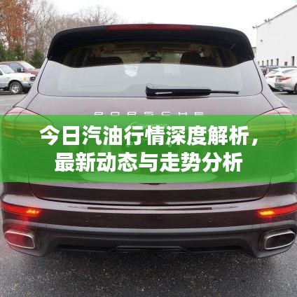 今日汽油行情深度解析,最新动态与走势分析
