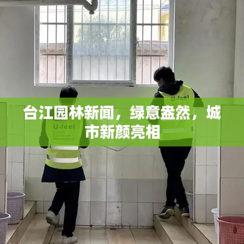 台江园林新闻，绿意盎然，城市新颜亮相