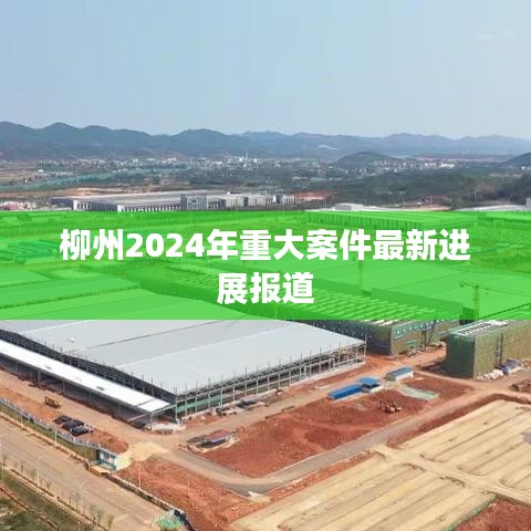 柳州2024年重大案件最新进展报道