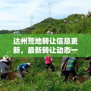 达州荒地转让信息更新，最新转让动态一网打尽！