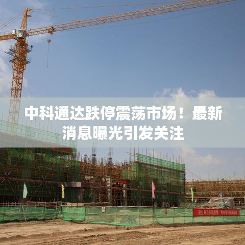 正襟危坐 第4页