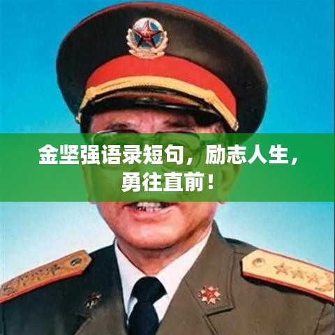 金坚强语录短句，励志人生，勇往直前！