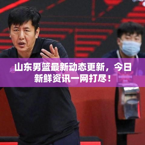 山东男篮最新动态更新,今日新鲜资讯一网打尽!