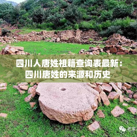 四川人唐姓祖籍查询表最新：四川唐姓的来源和历史 