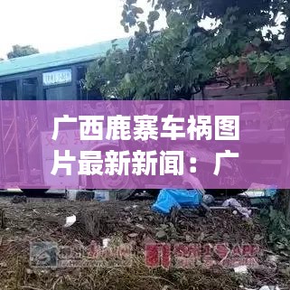 小有成就 第4页