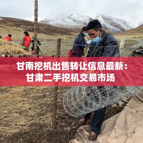 甘南挖机出售转让信息最新：甘肃二手挖机交易市场 