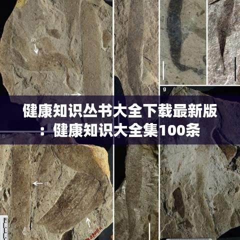 健康知识丛书大全下载最新版:健康知识大全集100条