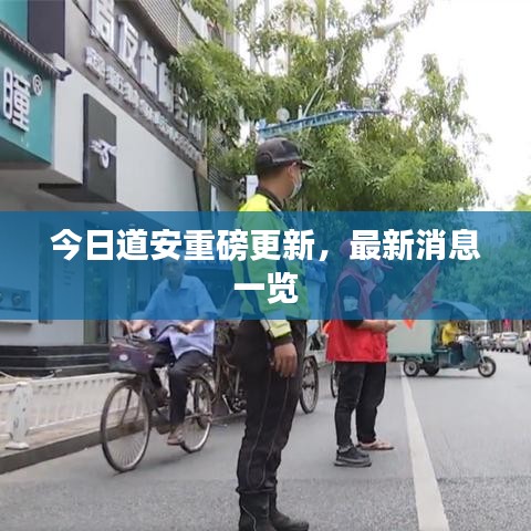 今日道安重磅更新，最新消息一览