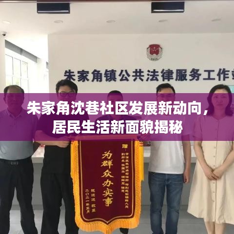 朱家角沈巷社区发展新动向，居民生活新面貌揭秘