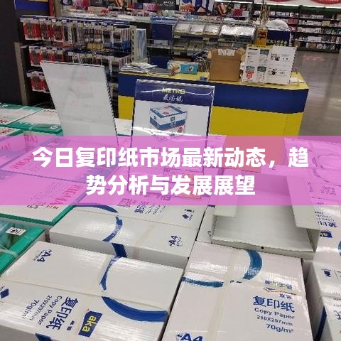 今日复印纸市场最新动态,趋势分析与发展展望