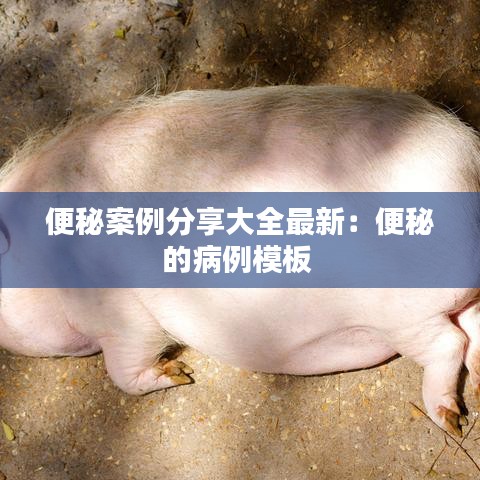 便秘案例分享大全最新：便秘的病例模板 