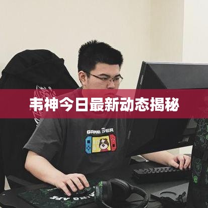 韦神今日最新动态揭秘