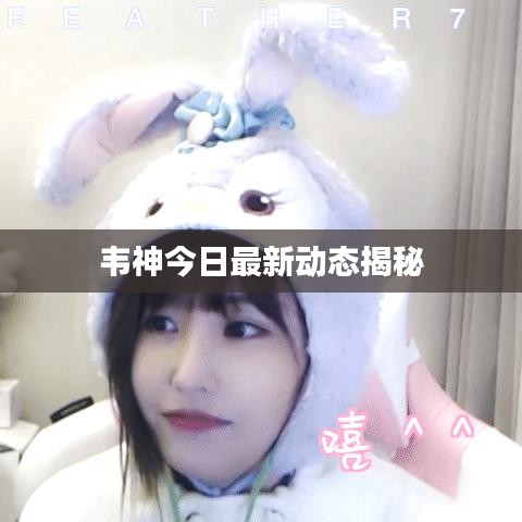 韦神今日最新动态揭秘