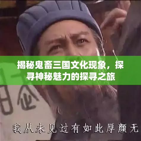 揭秘鬼畜三国文化现象，探寻神秘魅力的探寻之旅