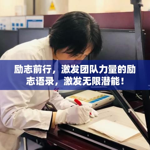 励志前行,激发团队力量的励志语录,激发无限潜能!