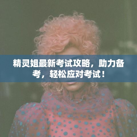 精灵姐最新考试攻略,助力备考,轻松应对考试!