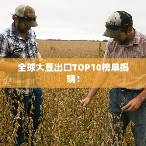 人贵自立 第4页