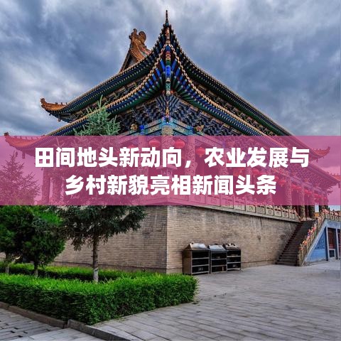 田间地头新动向，农业发展与乡村新貌亮相新闻头条