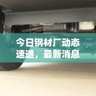 今日钢材厂动态速递,最新消息一览