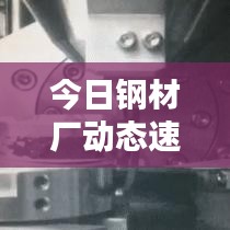 今日钢材厂动态速递,最新消息一览