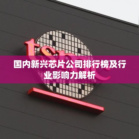 国内新兴芯片公司排行榜及行业影响力解析