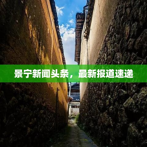 景宁新闻头条,最新报道速递