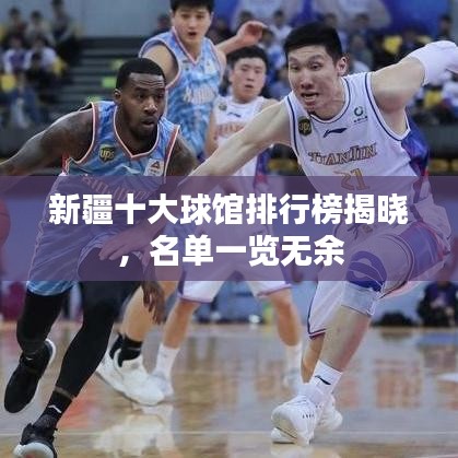 新疆十大球馆排行榜揭晓,名单一览无余