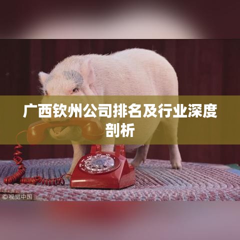 广西钦州公司排名及行业深度剖析