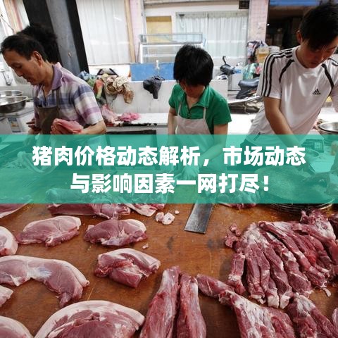 猪肉价格动态解析，市场动态与影响因素一网打尽！