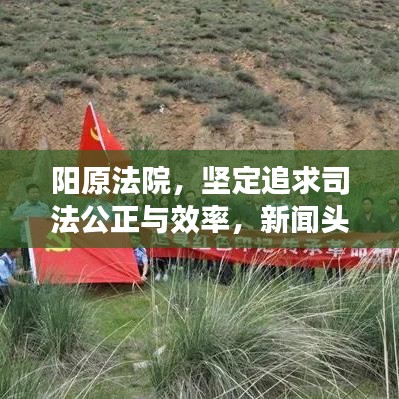 阳原法院,坚定追求司法公正与效率,新闻头条瞩目呈现