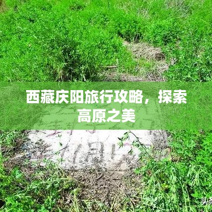 西藏庆阳旅行攻略，探索高原之美