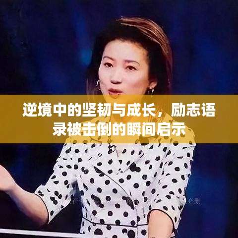 逆境中的坚韧与成长,励志语录被击倒的瞬间启示