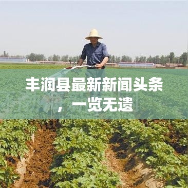 丰润县最新新闻头条，一览无遗