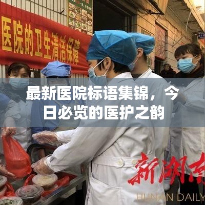 最新医院标语集锦，今日必览的医护之韵