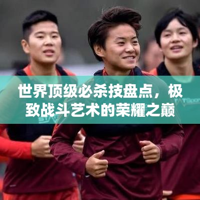 世界顶级必杀技盘点，极致战斗艺术的荣耀之巅