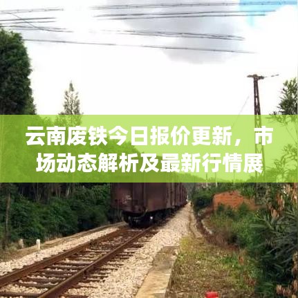 云南废铁今日报价更新，市场动态解析及最新行情展望