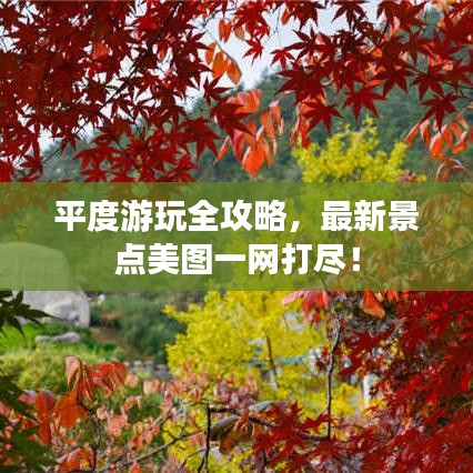 平度游玩全攻略,最新景点美图一网打尽!