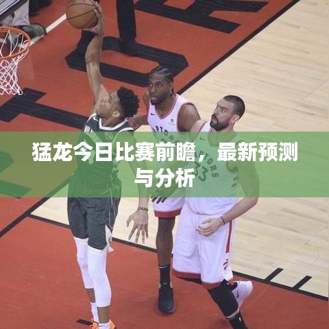猛龙今日比赛前瞻,最新预测与分析