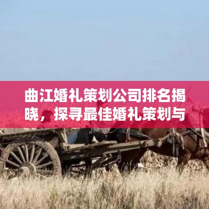 曲江婚礼策划公司排名揭晓,探寻最佳婚礼策划与服务,浪漫婚礼从这里开始!
