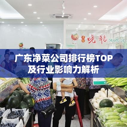 广东净菜公司排行榜TOP及行业影响力解析