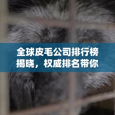全球皮毛公司排行榜揭晓，权威排名带你了解行业巨头！