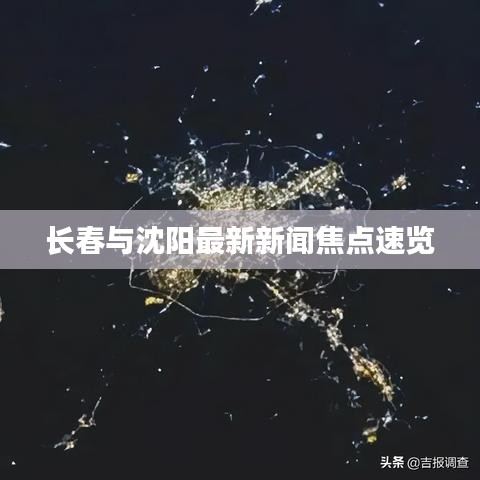 长春与沈阳最新新闻焦点速览