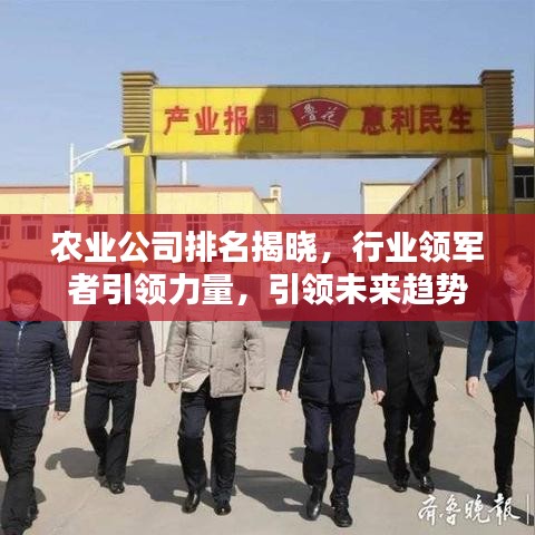 农业公司排名揭晓,行业领军者引领力量,引领未来趋势