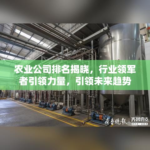 农业公司排名揭晓,行业领军者引领力量,引领未来趋势