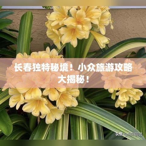 长春独特秘境!小众旅游攻略大揭秘!