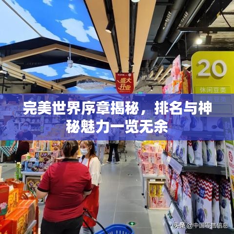 完美世界序章揭秘,排名与神秘魅力一览无余