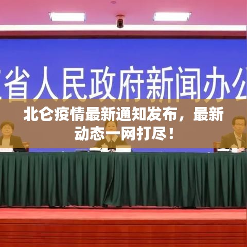 北仑疫情最新通知发布,最新动态一网打尽!
