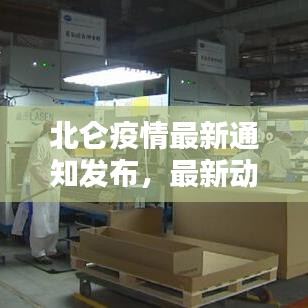 北仑疫情最新通知发布,最新动态一网打尽!