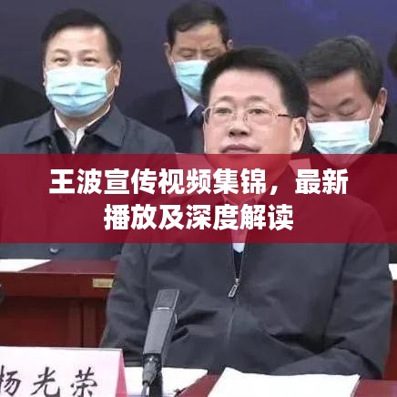 王波宣传视频集锦，最新播放及深度解读